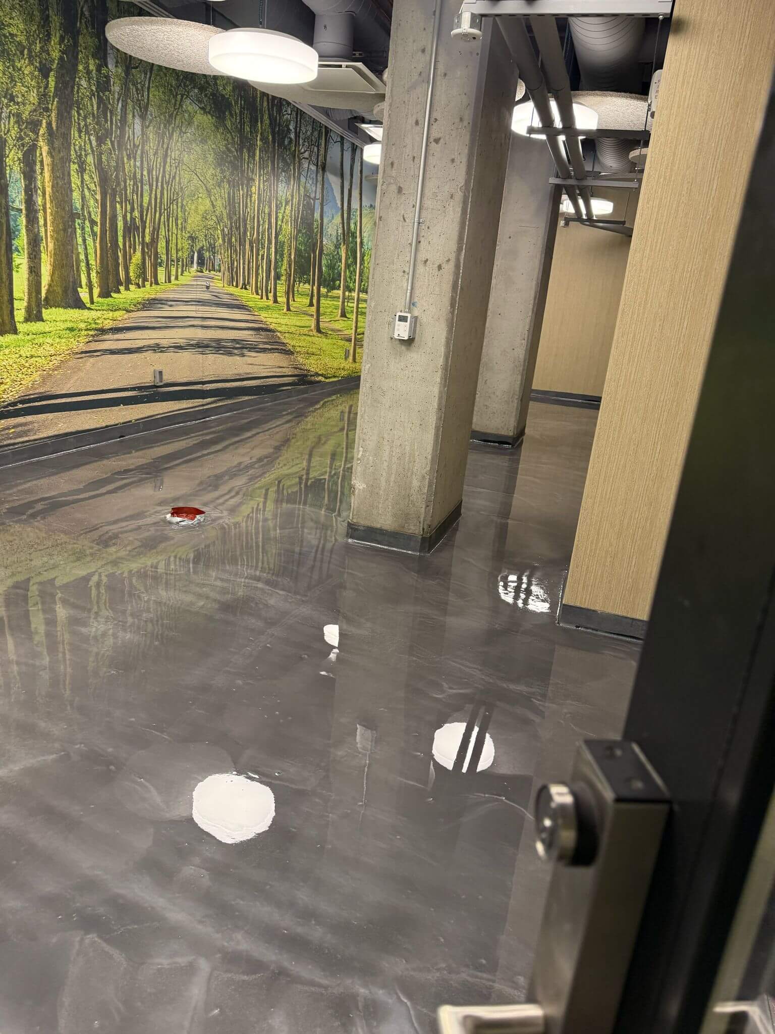 WhatsApp-Image-2025-02-15-at-16.58.15